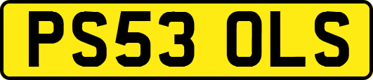 PS53OLS