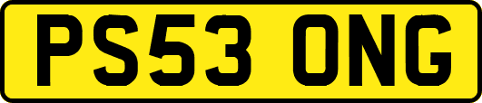 PS53ONG