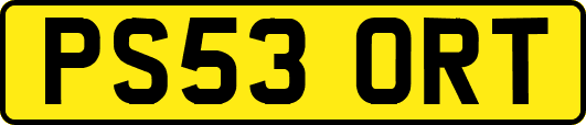 PS53ORT
