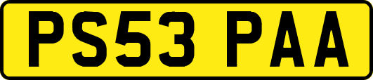 PS53PAA