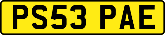 PS53PAE