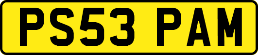 PS53PAM