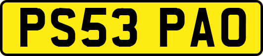 PS53PAO