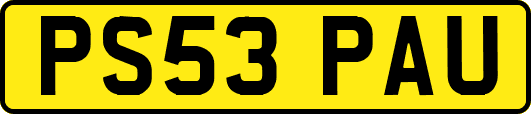 PS53PAU