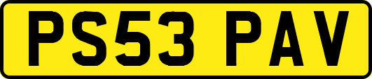 PS53PAV