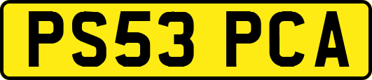 PS53PCA