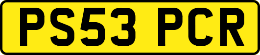 PS53PCR