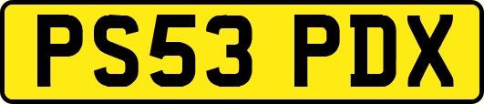 PS53PDX