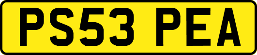 PS53PEA