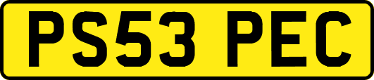 PS53PEC