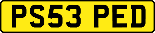 PS53PED
