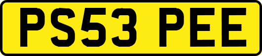 PS53PEE
