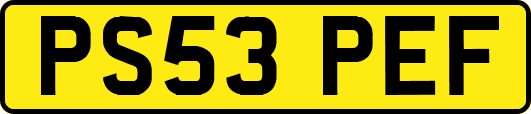 PS53PEF