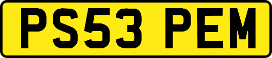 PS53PEM