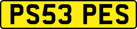 PS53PES