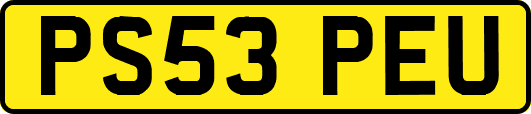 PS53PEU