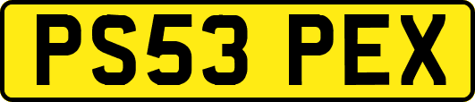 PS53PEX