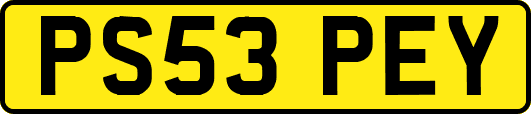PS53PEY
