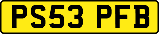 PS53PFB