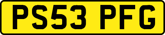 PS53PFG