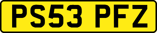 PS53PFZ