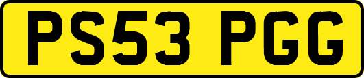 PS53PGG