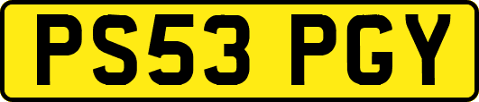 PS53PGY