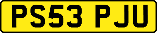 PS53PJU