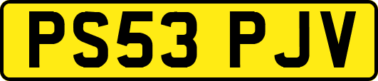 PS53PJV