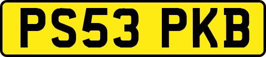 PS53PKB