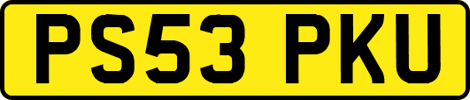 PS53PKU