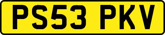 PS53PKV
