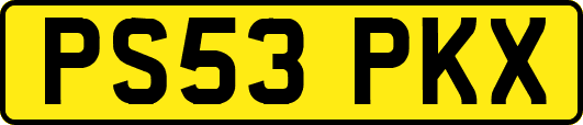 PS53PKX