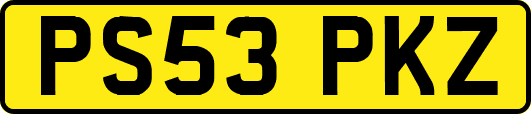PS53PKZ