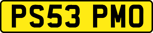 PS53PMO