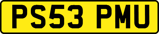 PS53PMU