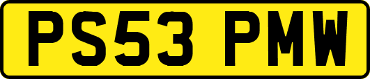 PS53PMW
