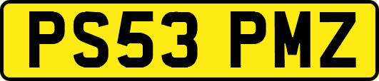 PS53PMZ