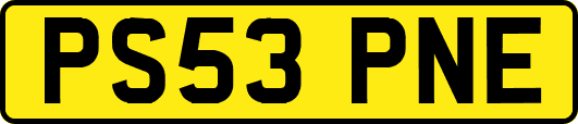 PS53PNE