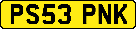 PS53PNK