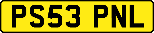 PS53PNL