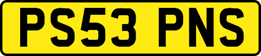 PS53PNS