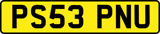 PS53PNU