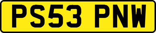PS53PNW