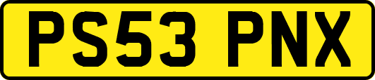 PS53PNX