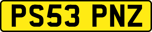 PS53PNZ