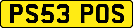 PS53POS