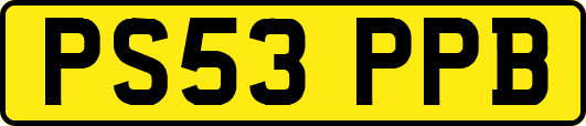PS53PPB