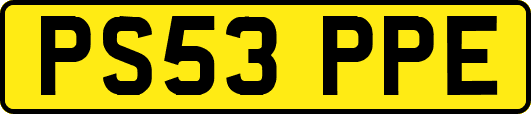 PS53PPE