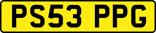PS53PPG